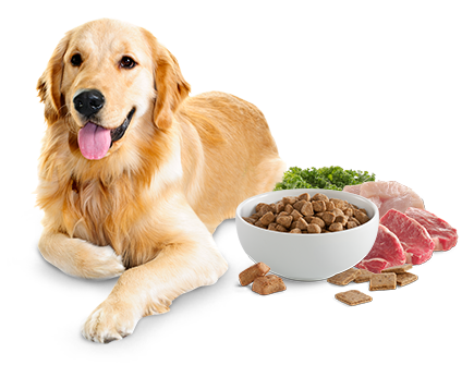 DOG FOOD