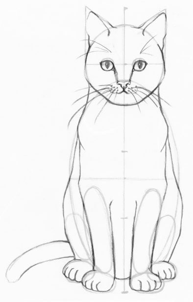 Draw A Cat