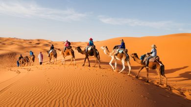 Morocco Sahara desert