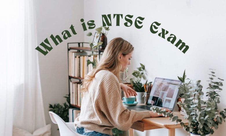 What is NTSE Exam