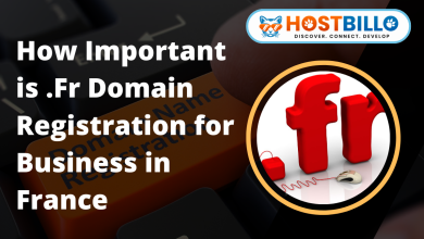 Importance of .Fr Domain Registration