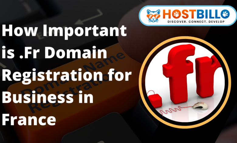 Importance of .Fr Domain Registration