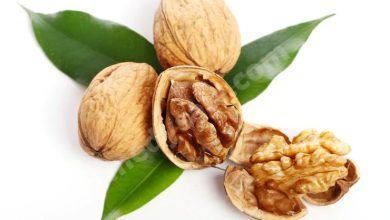 Nuts Help In Reducing Heart Disease