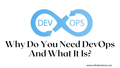 Why Do You Need DevOps And What It Is - Infinitive Host