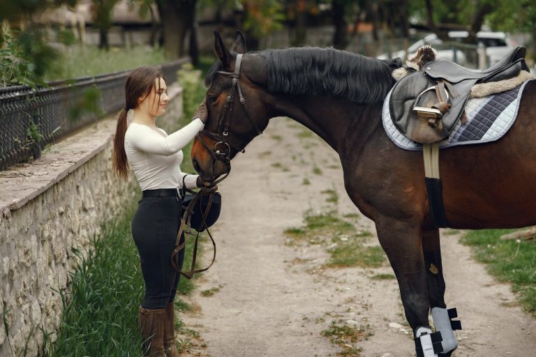 What Is a Group of Horses Called Complete Guide