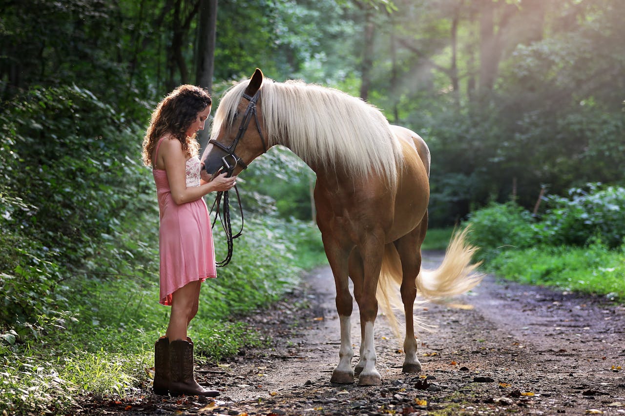 what is a group of horses called